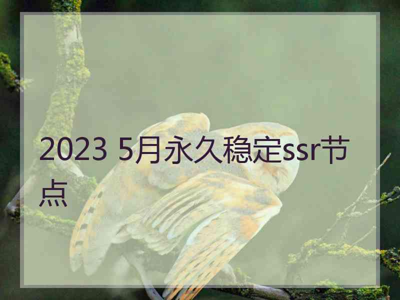 2023 5月永久稳定ssr节点