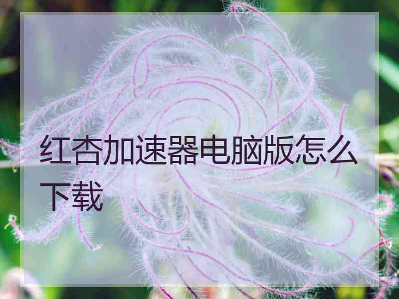 红杏加速器电脑版怎么下载