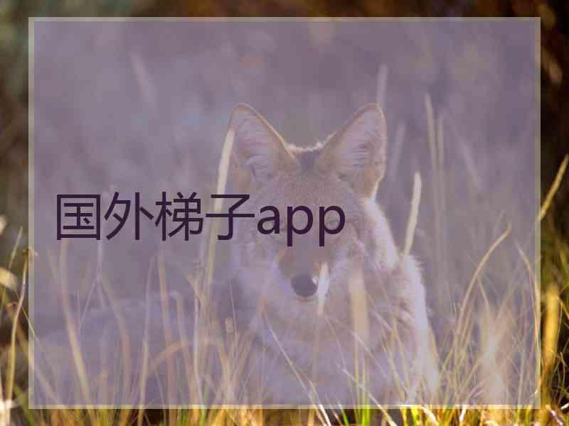 国外梯子app