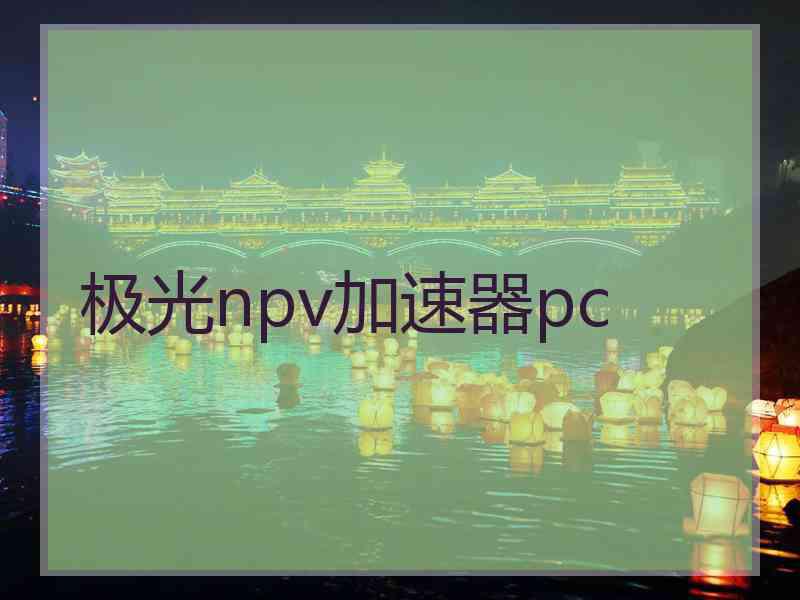 极光npv加速器pc