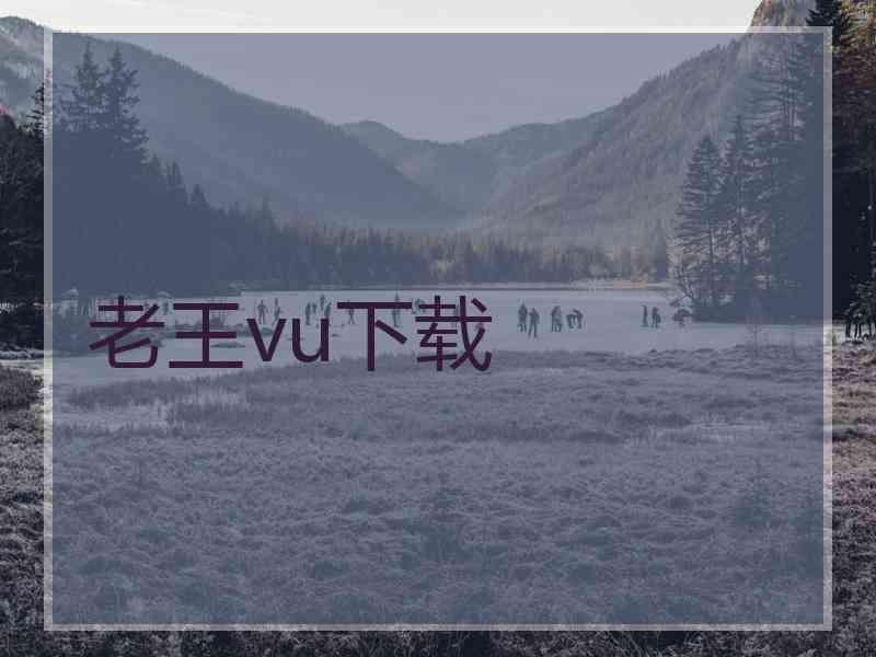 老王vu下载