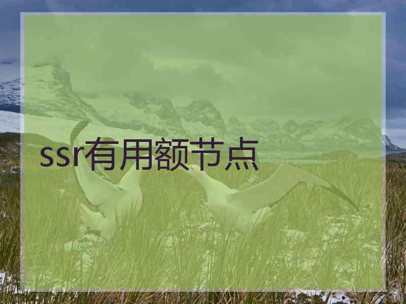 ssr有用额节点