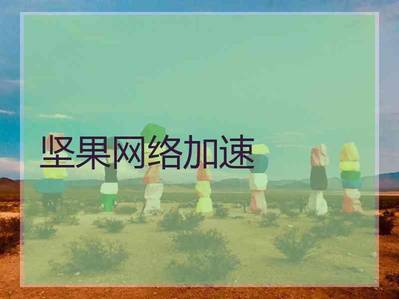 坚果网络加速