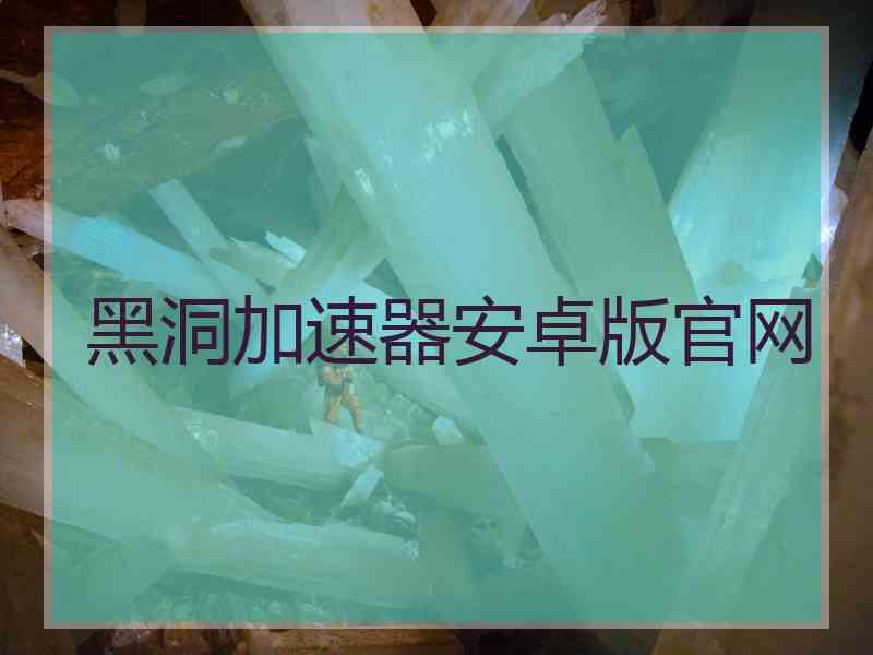 黑洞加速器安卓版官网