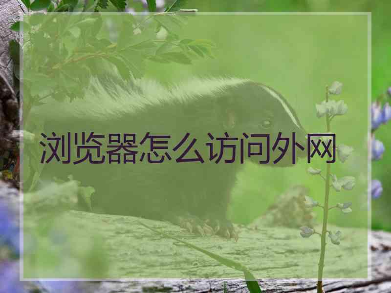 浏览器怎么访问外网