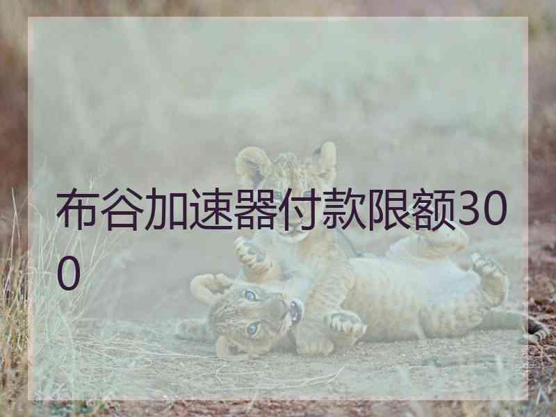 布谷加速器付款限额300