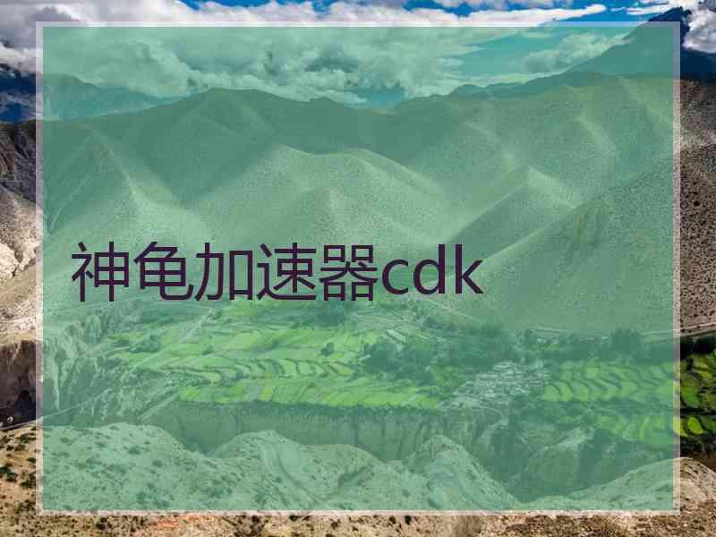 神龟加速器cdk
