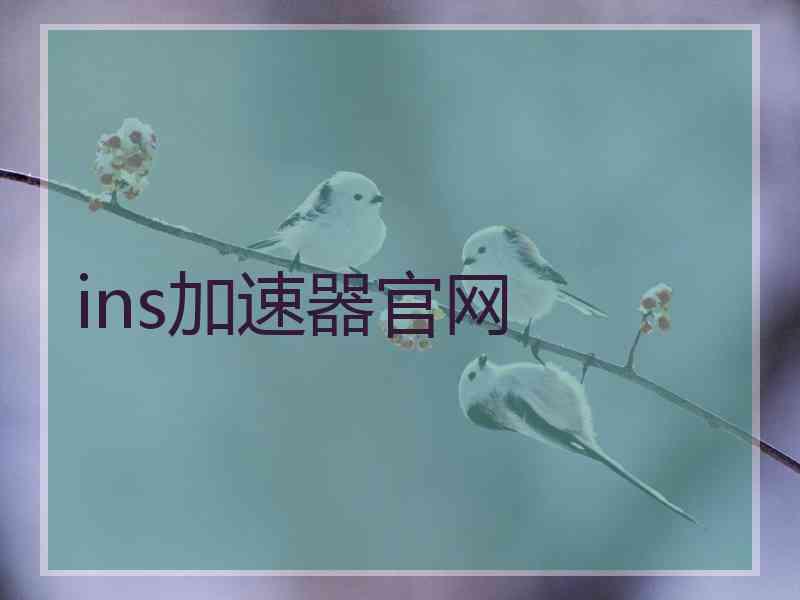ins加速器官网