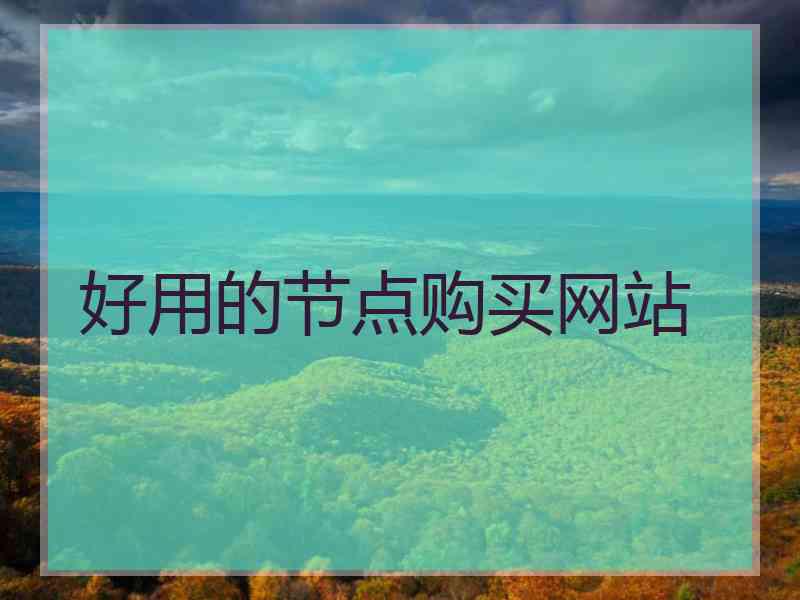 好用的节点购买网站