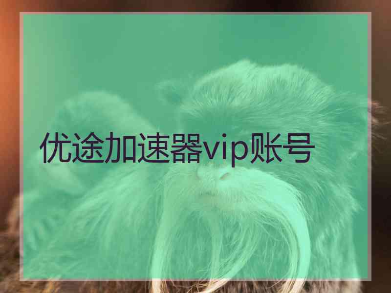 优途加速器vip账号