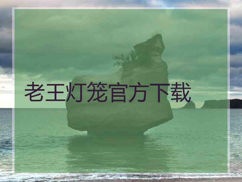老王灯笼官方下载