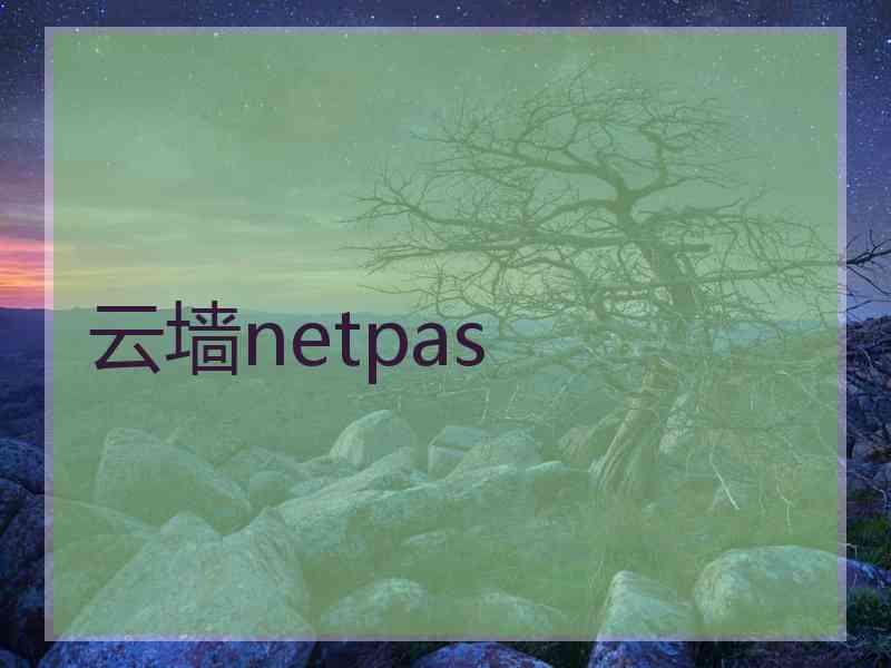 云墙netpas