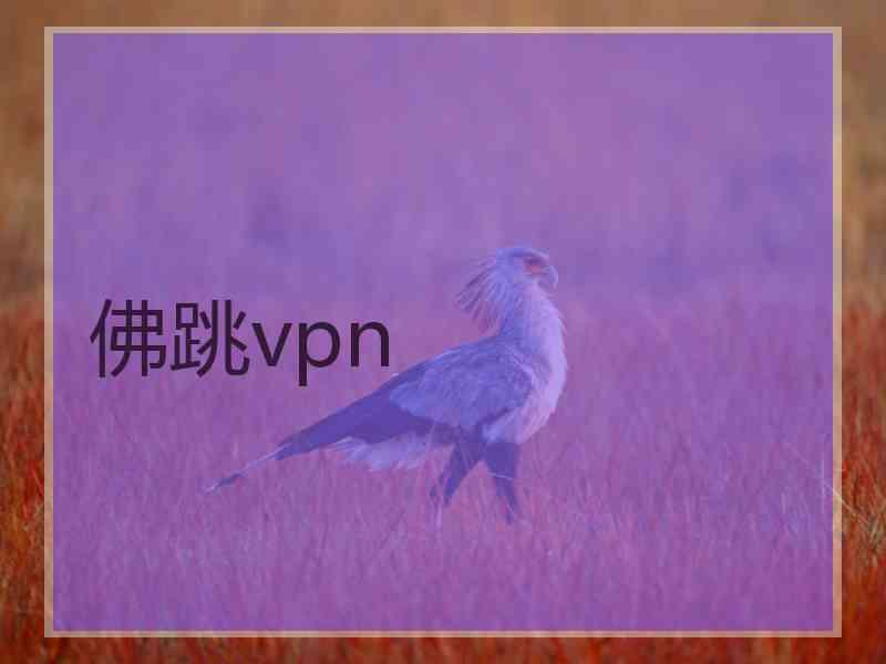 佛跳vpn