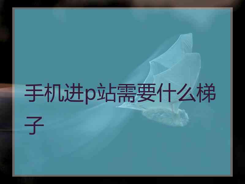 手机进p站需要什么梯子