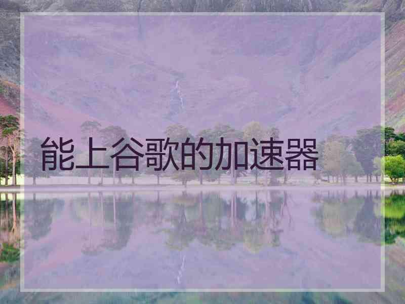 能上谷歌的加速器