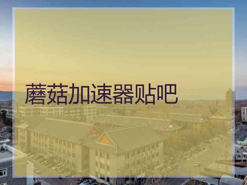 蘑菇加速器贴吧