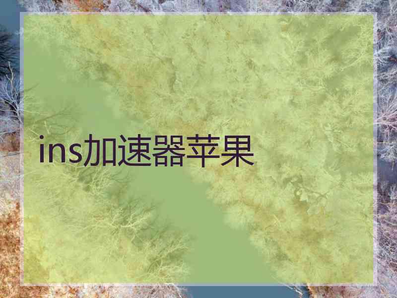 ins加速器苹果