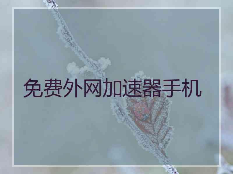 免费外网加速器手机