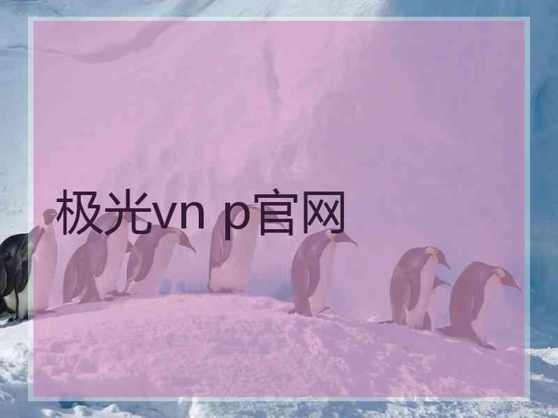极光vn p官网