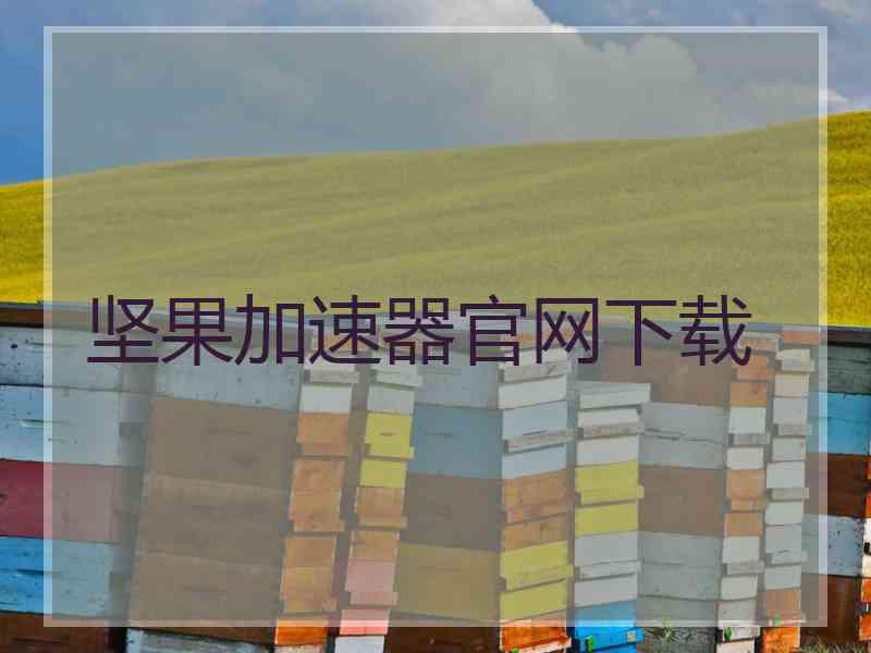 坚果加速器官网下载