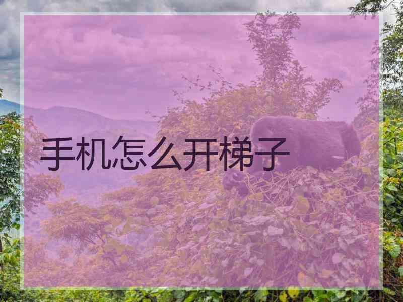 手机怎么开梯子