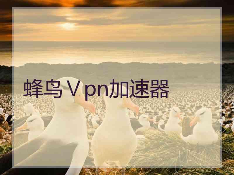 蜂鸟Ⅴpn加速器