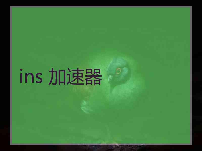 ins 加速器