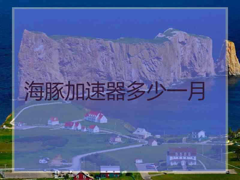 海豚加速器多少一月