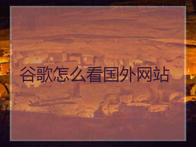 谷歌怎么看国外网站