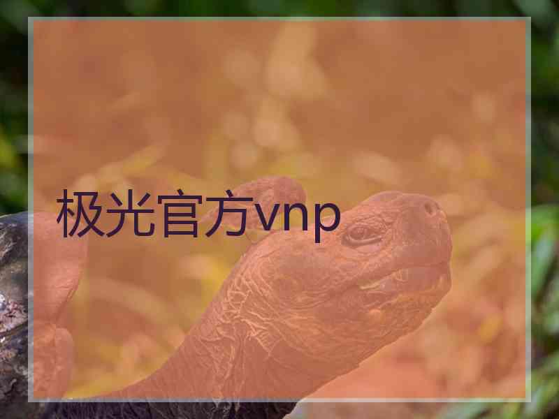 极光官方vnp
