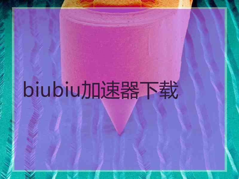 biubiu加速器下载