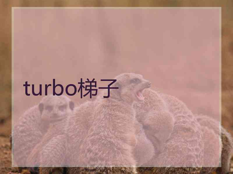 turbo梯子