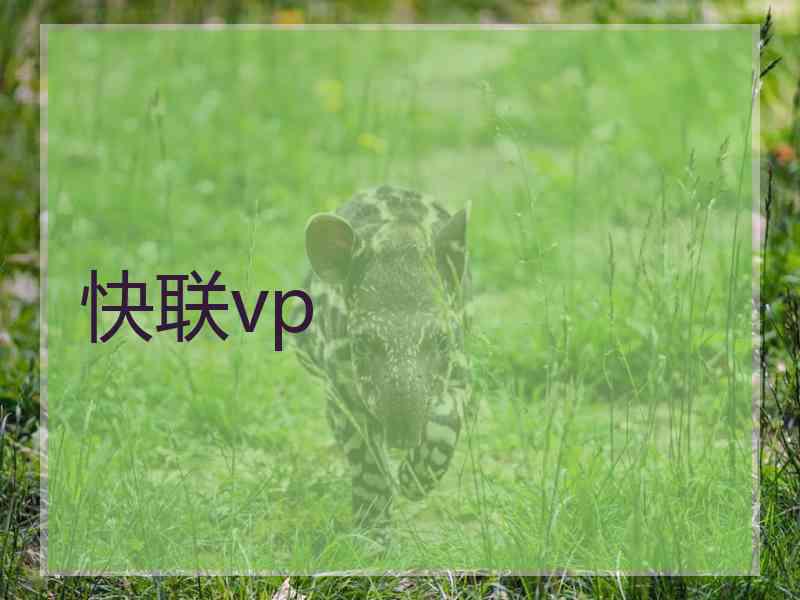 快联vp