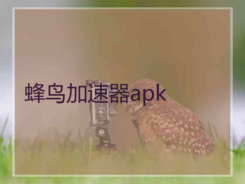 蜂鸟加速器apk