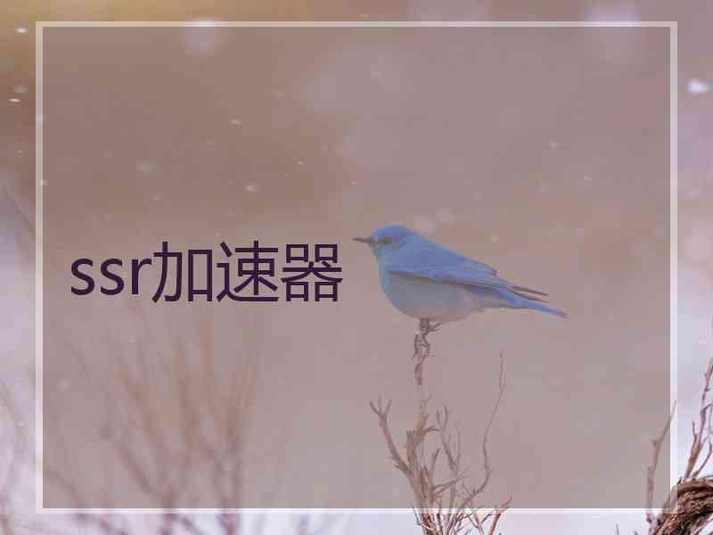 ssr加速器