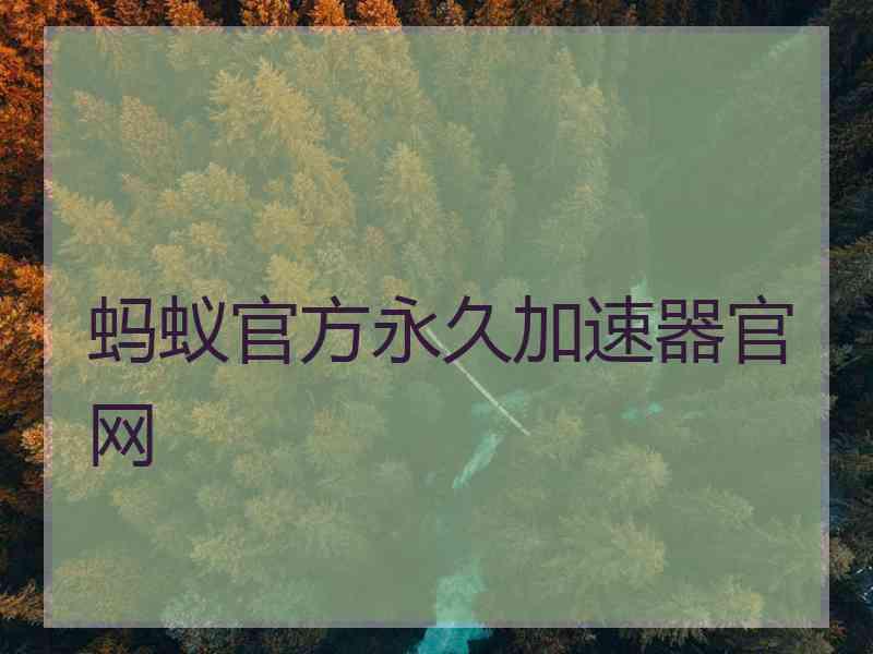 蚂蚁官方永久加速器官网