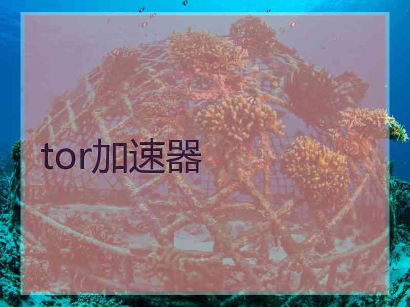 tor加速器