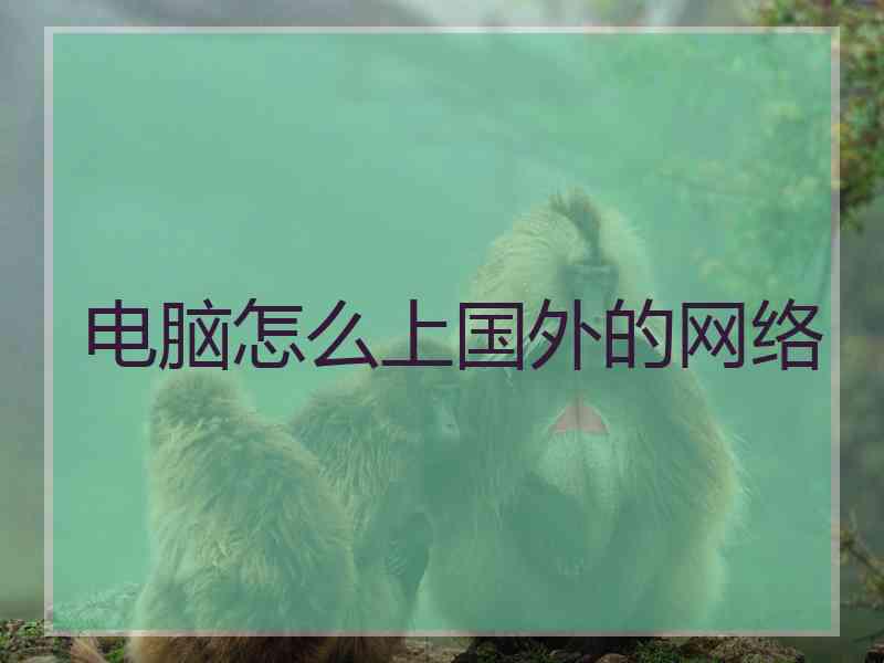 电脑怎么上国外的网络