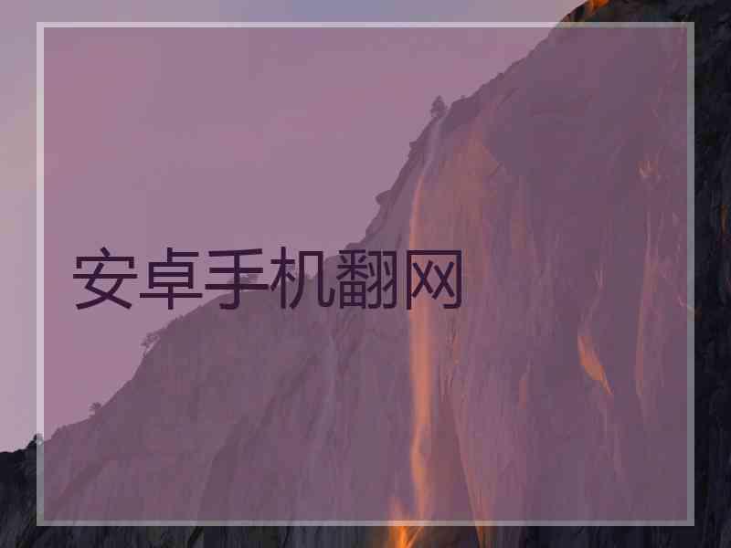 安卓手机翻网