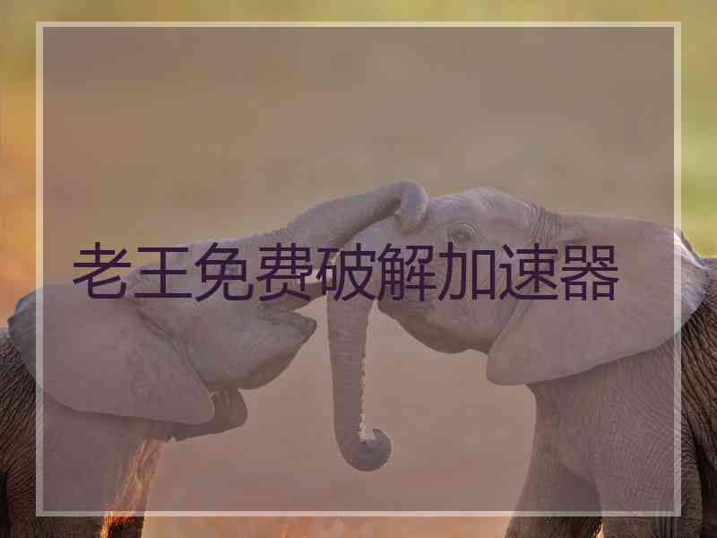 老王免费破解加速器