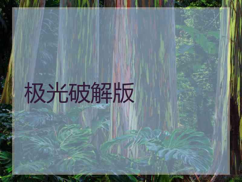 极光破解版