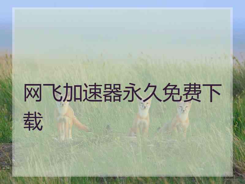 网飞加速器永久免费下载