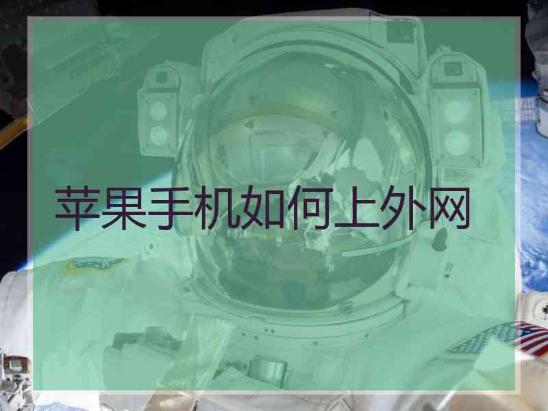 苹果手机如何上外网