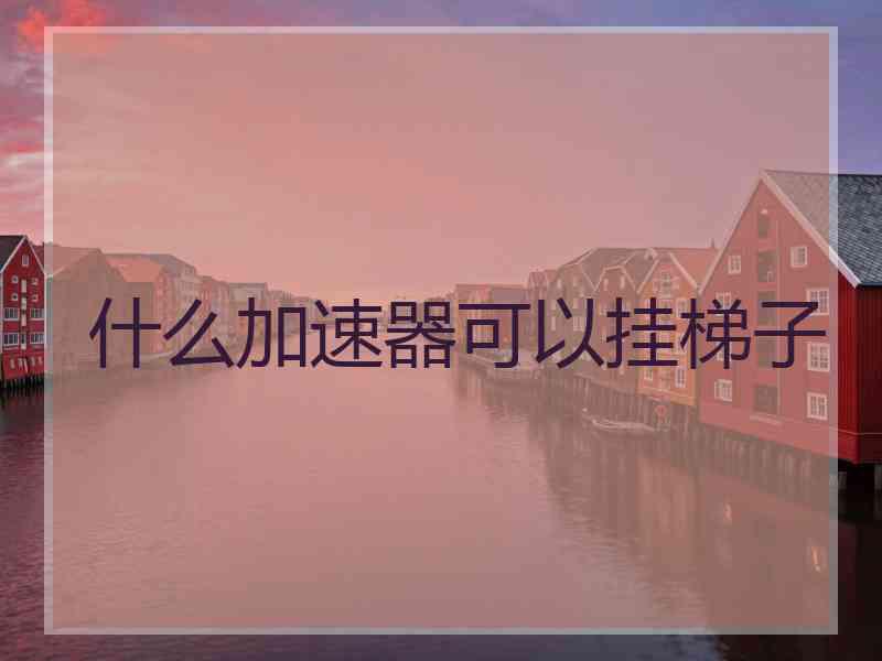 什么加速器可以挂梯子