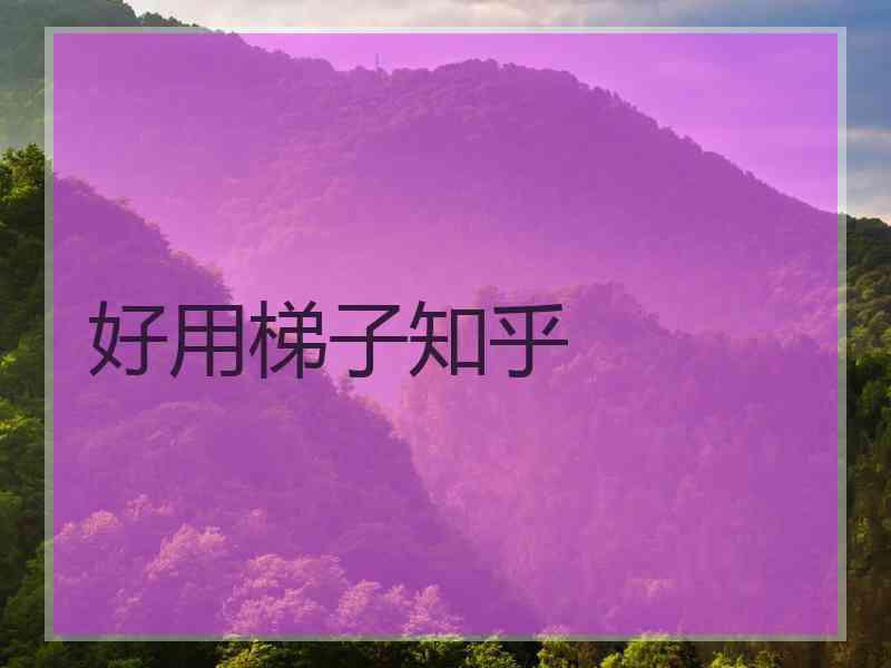 好用梯子知乎
