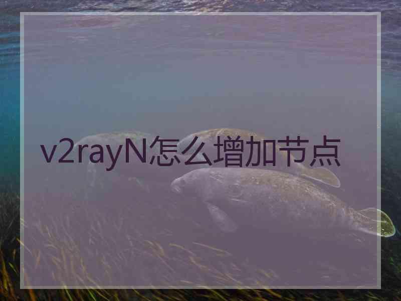 v2rayN怎么增加节点