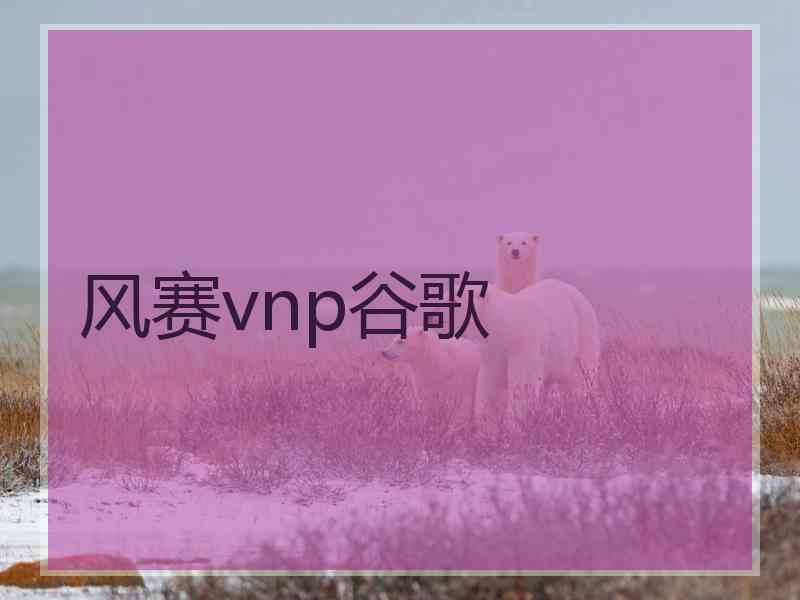 风赛vnp谷歌