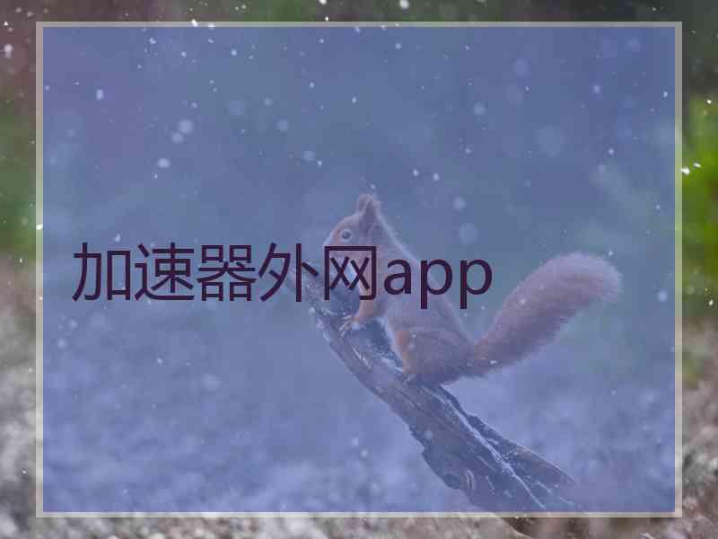 加速器外网app