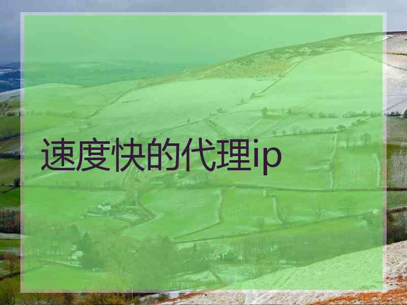 速度快的代理ip