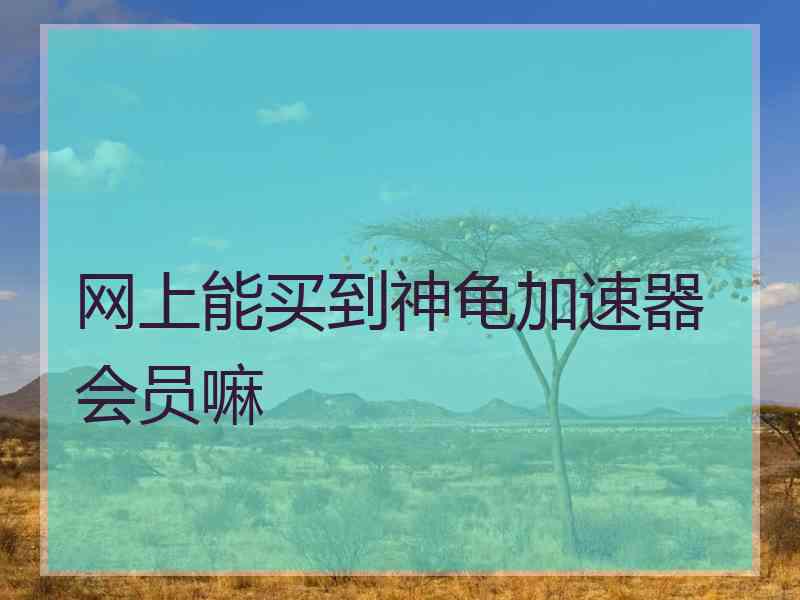 网上能买到神龟加速器会员嘛